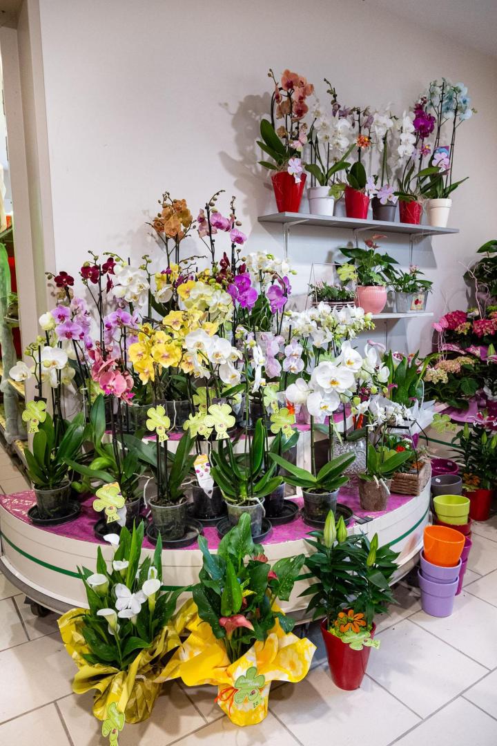 Fleuriste mariage Albert